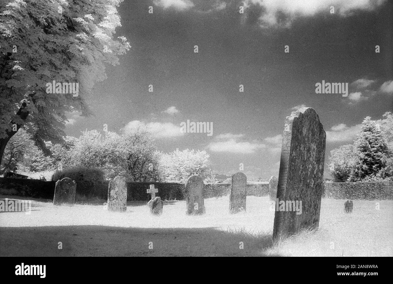 Corhampton churchyard, Hampshire, England, UK. Le noir et blanc l'infrarouge, filmstock avec sa structure de grain proéminent, à contraste élevé et lumineux brillant feuillage. Banque D'Images