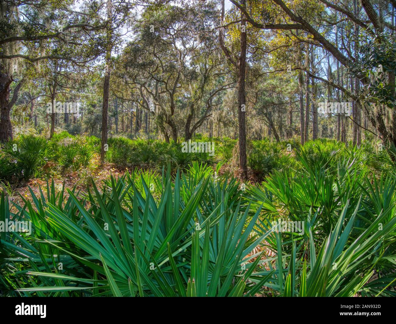 Lemon Bay Park d'Englewood Florida, United States Banque D'Images