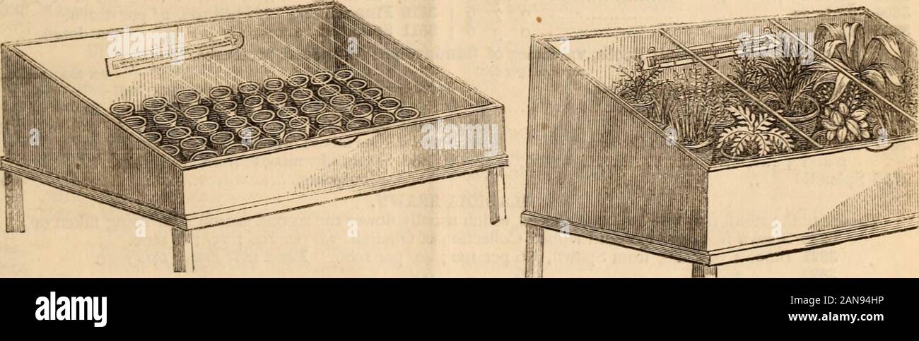 Barr & Sugden's catalogue de semences de printemps et guide pour la fleur et cuisine jardin / Barr & Sugden. . Est. par acre).-White Sile3ian...Sucre par lb. 1 o | Nouveau Grand Crimson par lb. Tournesol 26.-nain, 3 ft. Grand, 5 ; ft.  ; Semez de mars, avril et mai..-5.y. par lb., 6d. par oz. FURZE (12 lb/acre).-l'anglais par lb. 2 o | Français par lb. 2 v, le balai est. par lb. Chicorée (4 livres par acre), 3s. Par lb.LE VIOL (6 à 8 lb par acre), $d. par lb. SANFOIN (4 boisseaux par acre), le prix du marché.LUCERNE 16 livres par acre, est. 6 d. par lb. | SARRASIN 1 boisseaux à l'acre, 9/ le boisseau. - Bovins BLUNDELLS MELONS UN Banque D'Images