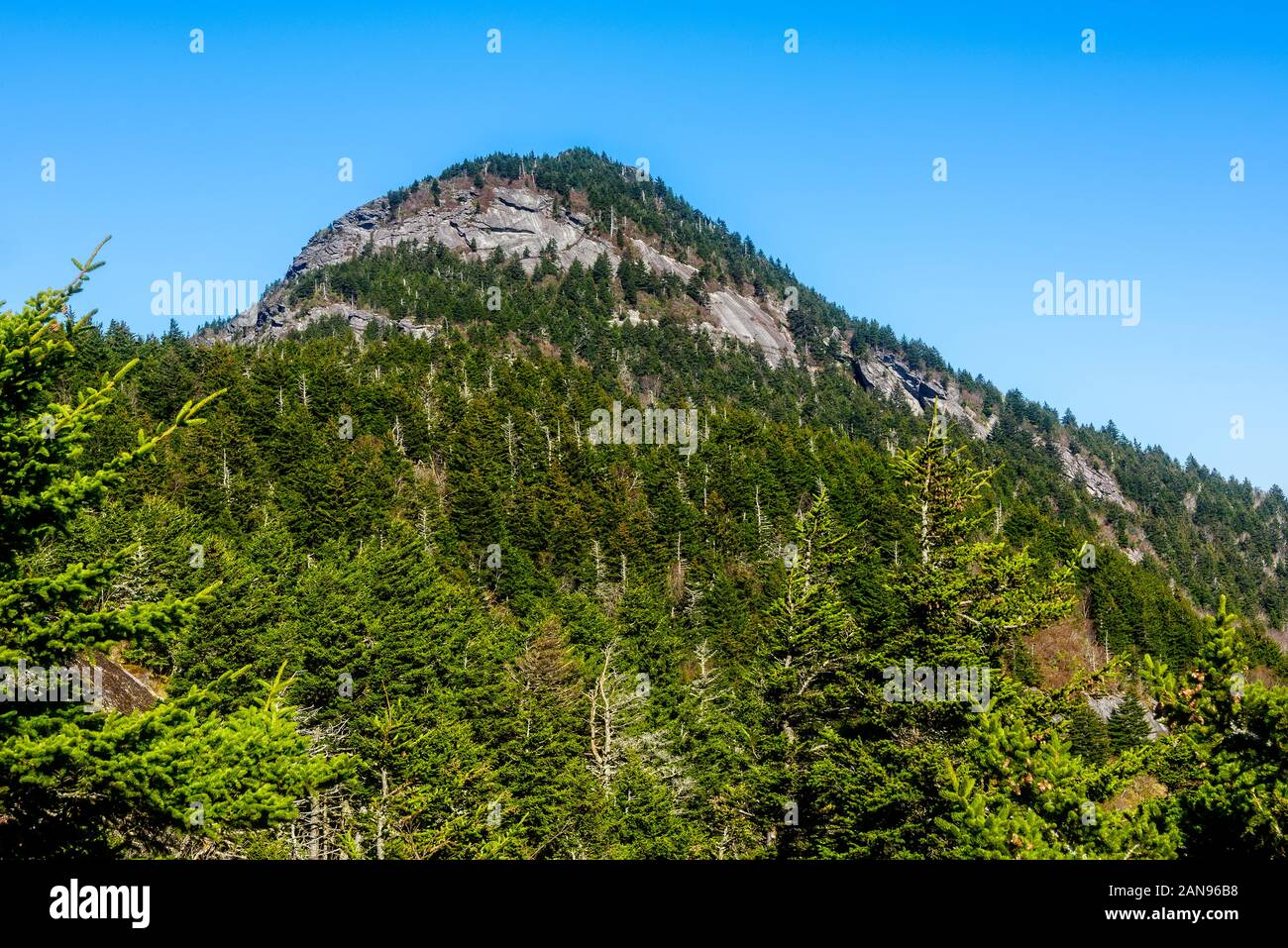 Pic rocheux à Grandfather Mountain, un parc d'état de 4 000 acres dans la région de Linville, Caroline du Nord. Banque D'Images
