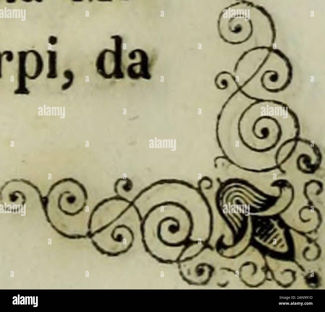 Storia di Castiglione delle Stiviere sotto il dominio dei Gonzaga . Banque D'Images