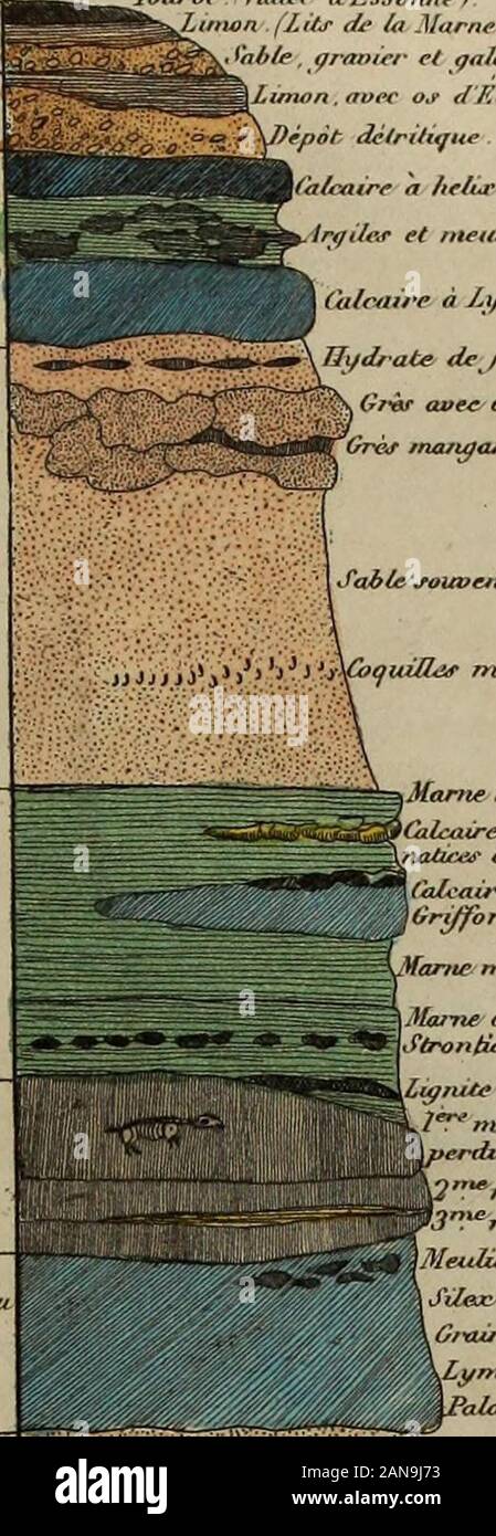 Dictionnaire pittoresque d'histoire naturelle et des phénomènes de la nature . Valerienj^j jt %j*"** ?&gt;yVùquilles morùtes J J . Zorrex Huteauf /, .. 7-ter. du hyèrieur- Travertin fou. riliceu ducalcaire ..v ; ou du calcaire deau douce J. 6*. Des Terraùv ditsde Jïeauchaznp grès et sables .. Marne avec marine hiutres, crustacés 8C./Montmartre/.^argilifere calcaire marin , ou marne, avec mutualités,avis importants êCc/. (Frovais, S -Ange/). Calcaire deau douce. etmeulièree (Melun.Butte du Griffon, JhntûyJ. Marne inarine gtJieraxi typris (à.. Jpirorbis. /Montmartre) Juv7u ? Deau douée/, souvent verte, avec Banque D'Images