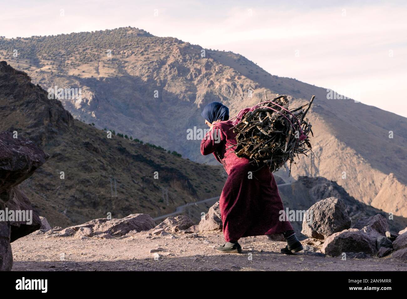 Femme berbère en bois de feu sur le dos en haut Atlas, Imlil, Maroc Banque D'Images