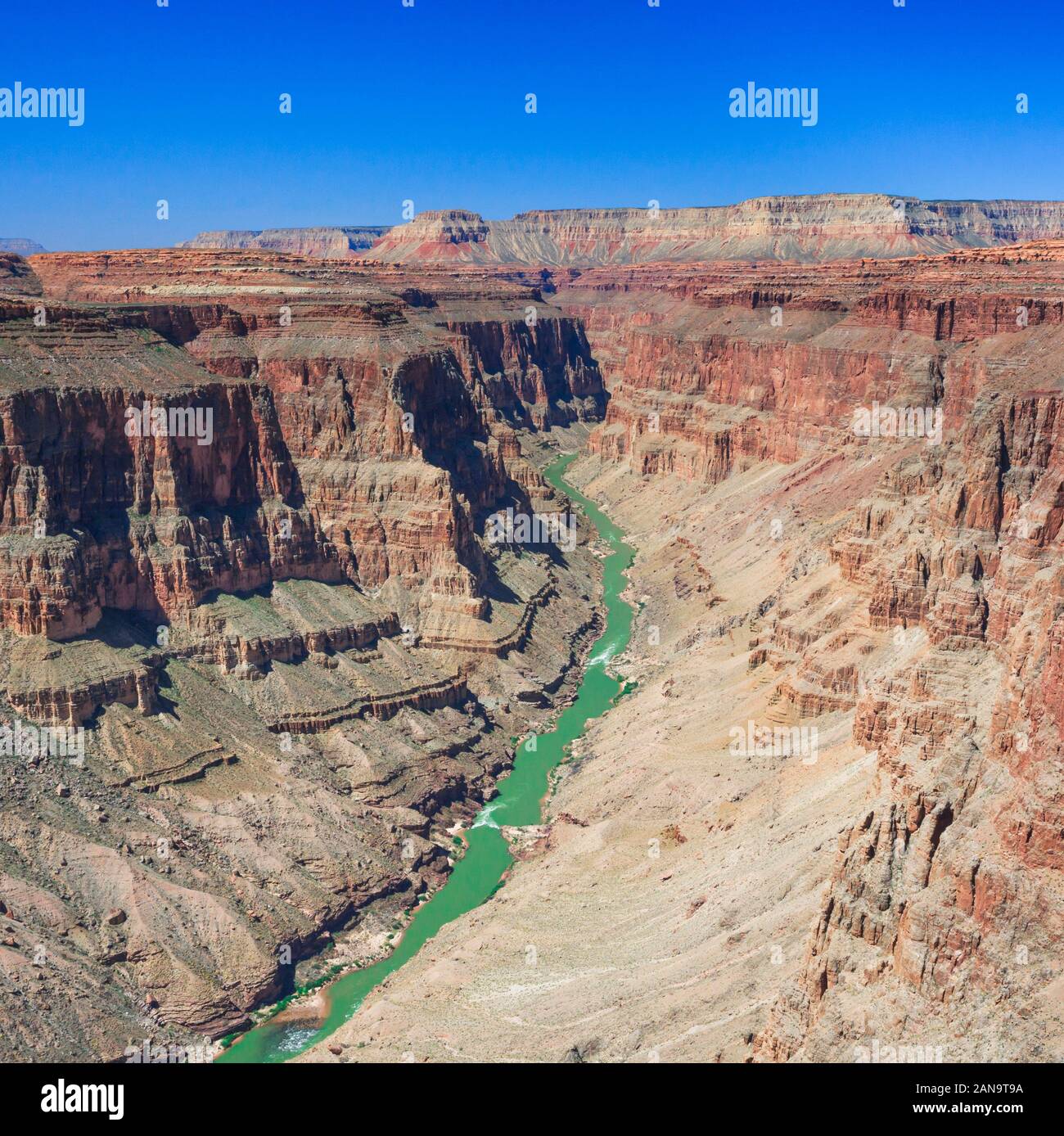 Dans le fleuve Colorado rapids en y domaine de grand canyon national park, arizona Banque D'Images