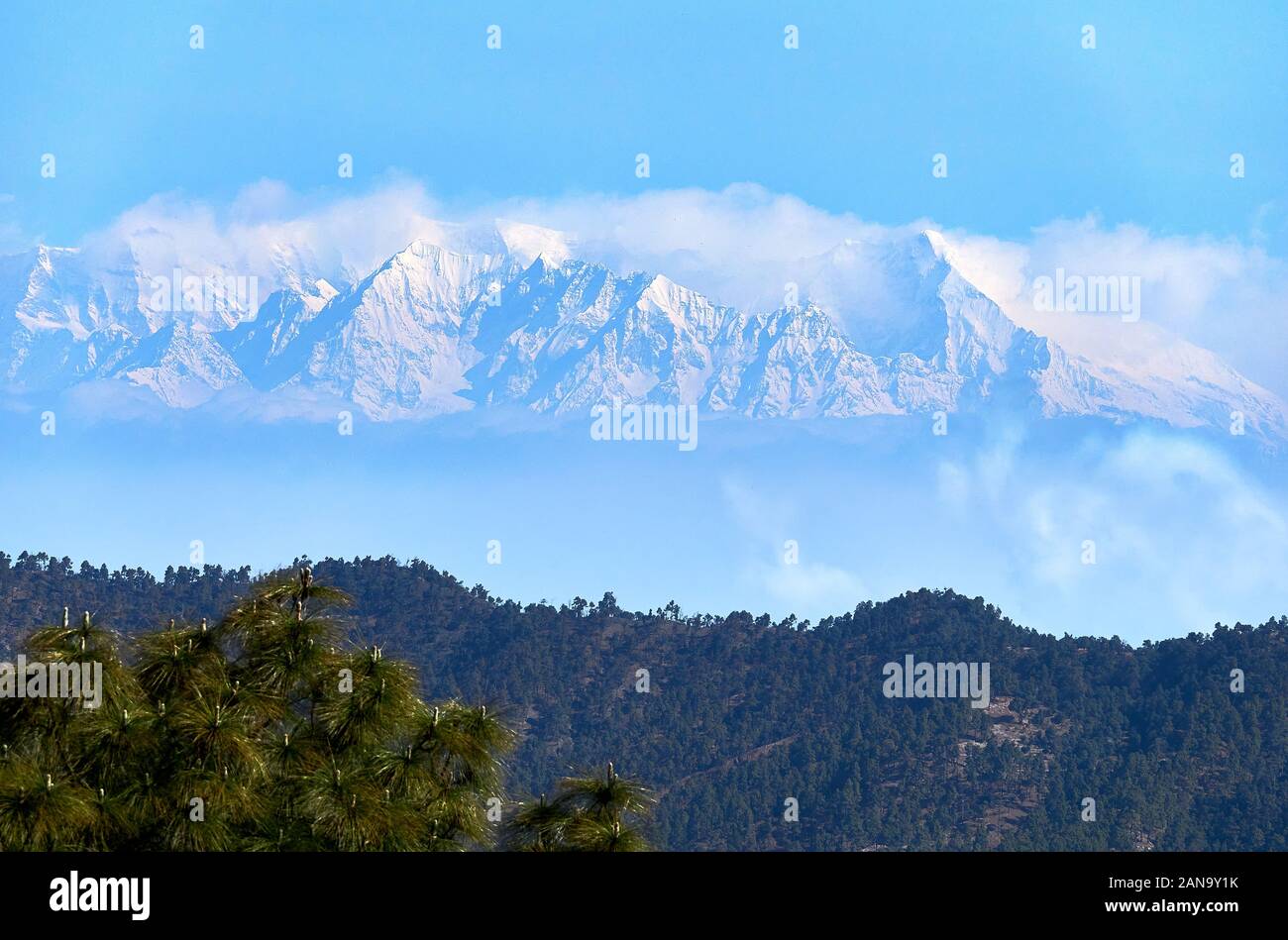 Vue lointaine sur la neige a couvert l'Himalaya indien autour de la réserve de Nanda Devi de 'Zero point' dans la région de Binsar d'Uttarakhand Nord de l'Inde Banque D'Images