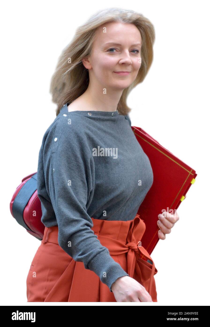 Liz Truss, député, secrétaire en chef au Trésor, laissant Downing Street après une réunion du cabinet, 19.02.2019 Banque D'Images