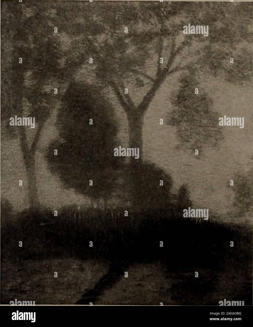 De précieuses images par affaires et maîtres américains . George Hitchcock American : 1850- 0 vL J 7-floraison Hauteur HOLLAND, 17 pouces, 22 pouces de longueur ; un aperçu de la Hollande en avril, quand même le grayskies mou du bas pays humides ne peuvent pas diminuer ou lowerthe superbe jaune doré, le vigoureux, les reds andorange varie du rose et blanc rouge plein de thegreat tulip lits ou bien vertes de l'succulentgrasses dans les prés d'eux. Ici, dans le plan-masse, les tulipes sont de couleur blanche, au milieu d'or, l'ilssont distance or flamboyant dans bedsof, orange, pourpre Banque D'Images