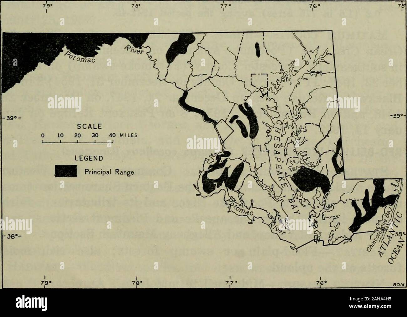 La faune de l'Amérique du Nord 1954 din . (Wright, 1955) ; 1 (1 à 80 acres) en 1949, 1951, 1952, et1953 (Trever, 1952 ; Clagett, 1952 et 1953). Nombre maximum.-Printemps : Des centaines près de Baltimore le 25, 1893 (F. C. Kirkwood). Automne : Près de 1000 onHooper Island, comté de Dorchester, le 30 septembre, 1933 (W. B.Tyrrell) ; un troupeau de 200 + à Patuxent Refuge le 15 octobre 1942.L'hiver (Noël) : 239 dans la région de Ocean City sur Décembre 27, 1954 ; 107 dans la région de Annapolis le Janvier 1, 1956 ; 104 dans la région du District de Columbia, le 2 janvier 1954 ; 80 de la Côte-d'ern le comté de Dorchester le 28 décembre 19 Banque D'Images