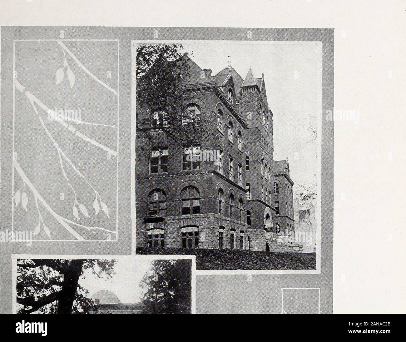 Le blaireau . College,1897 ; A.M., Harvard University, 1898 ; Ph.D., Université de Harvard, 1900. Converse George Fiske, A1, Professeur associé d'Amérique. A.B., uni-versité Harvard, 1894 ; A.M., Harvard University, 1897 ; Ph.D., Université Harvard, 1900. Pierre Albert Silex, BK, NOUS, astronome, Observatoire Washburn. A.B., Har-vard University, 1875. M.A., Université de Cincinnati, en 1880. Otis Amsden, Gage (^lllZ, BK, UN UN^, professeur adjoint de physique. Ph.B., Univer-sité de Rochester, 1899 ; Ph.D., Cornell University, 1909. Edward Hall Gardner, BK, ay, professeur adjoint d'anglais. A.B., AmherstColleg Banque D'Images