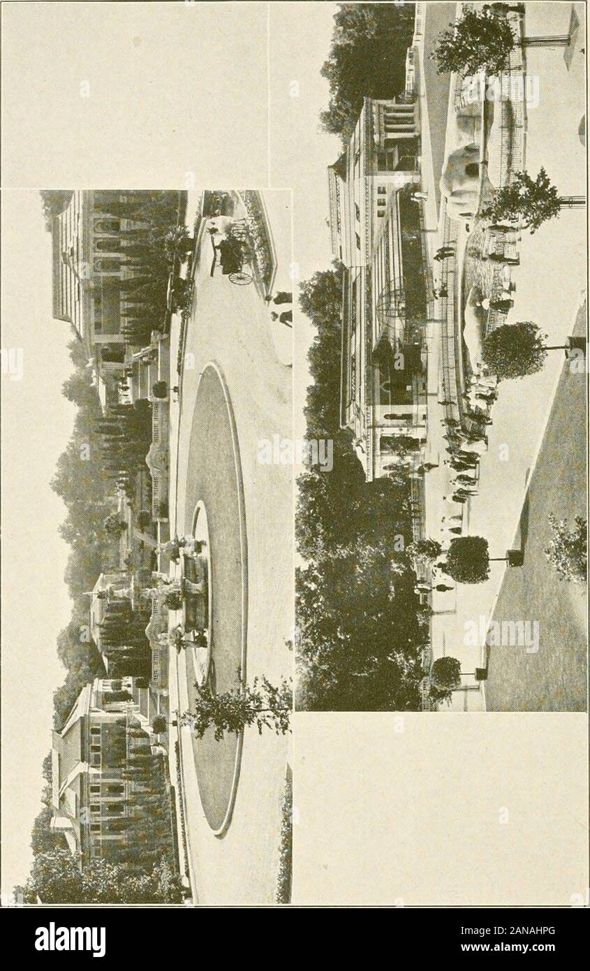 Guide pour les trésors de la nature de la ville de New York, Musée Américain d'histoire naturelle, l'aquarium de New York, New York zoölogicl park et le jardin botanique, le musée de Brooklyn, le jardin botanique et musée des enfants . 145. 146 Le nouveau parc zoologique de New York Le New York Zoological Park a été conçu par andplanned la New York Zoological Society, un scientificbody constituée en 1895, en vertu d'une charte spéciale grantedby l'Assemblée législative de l'État de New York, et a comme itsavowed les objets de fabrication d'un parc public, la protection des animaux indigènes et la promotion de la zoologie. Contrôle des e Banque D'Images