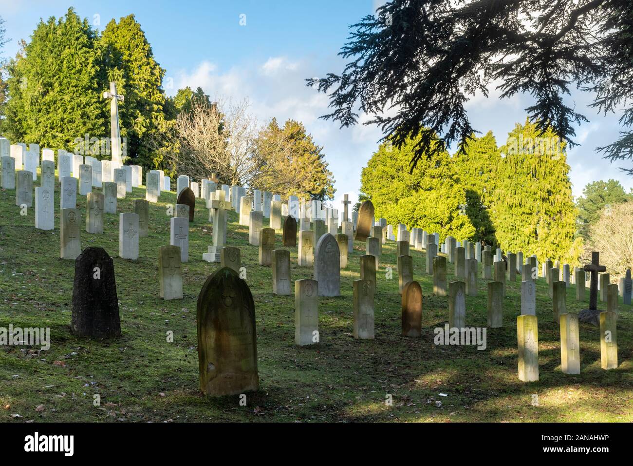 Cimetière militaire d'Aldershot avec les tombes de militaires du Commonwealth britannique et les femmes et, Hampshire, Royaume-Uni. Première guerre mondiale, tombes et Croix du sacrifice Banque D'Images