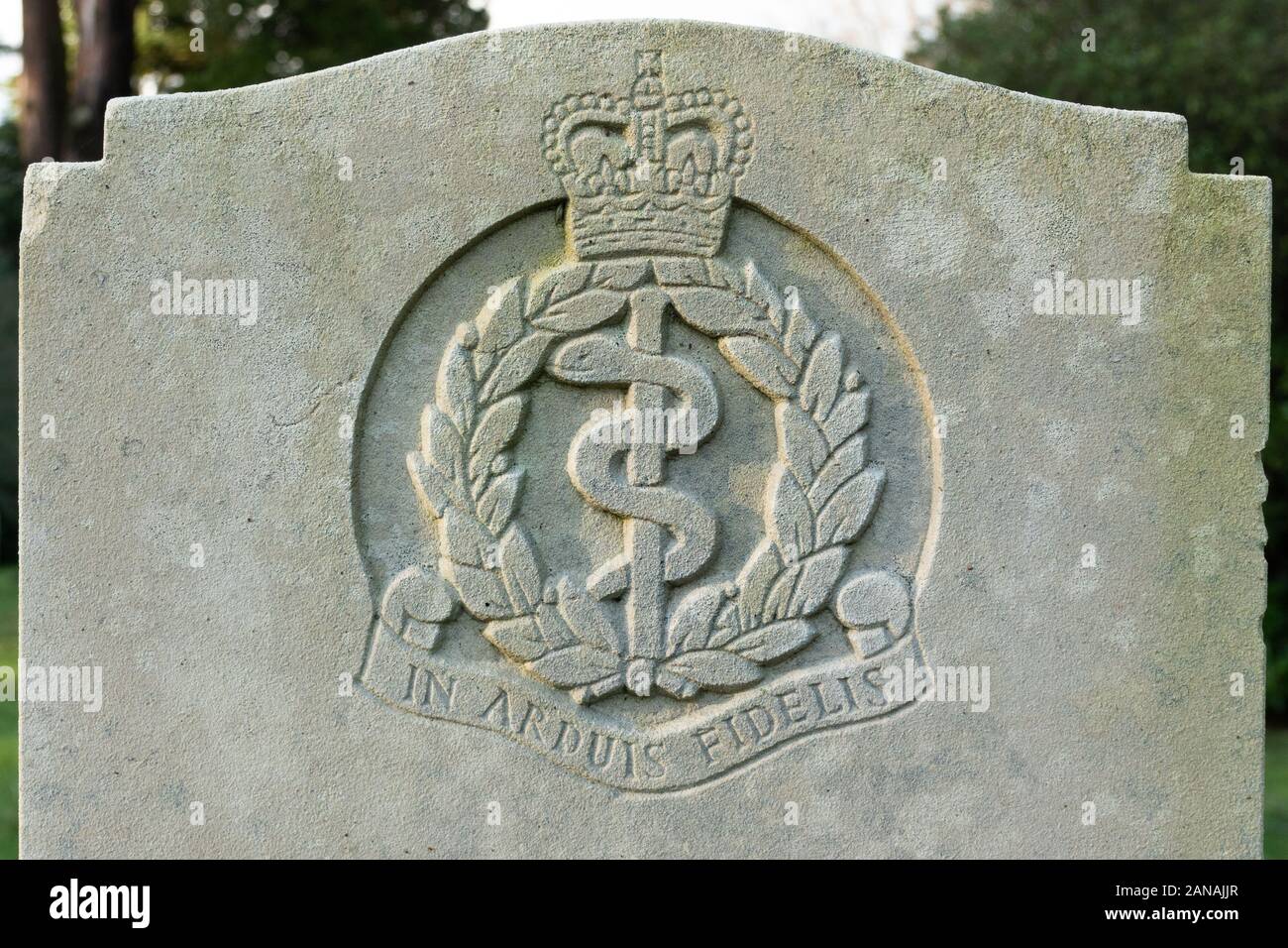 Royal Army Medical Corps emblème insigne régimentaire de la crête sur une pierre tombale militaire ou pierre tombale, UK Banque D'Images
