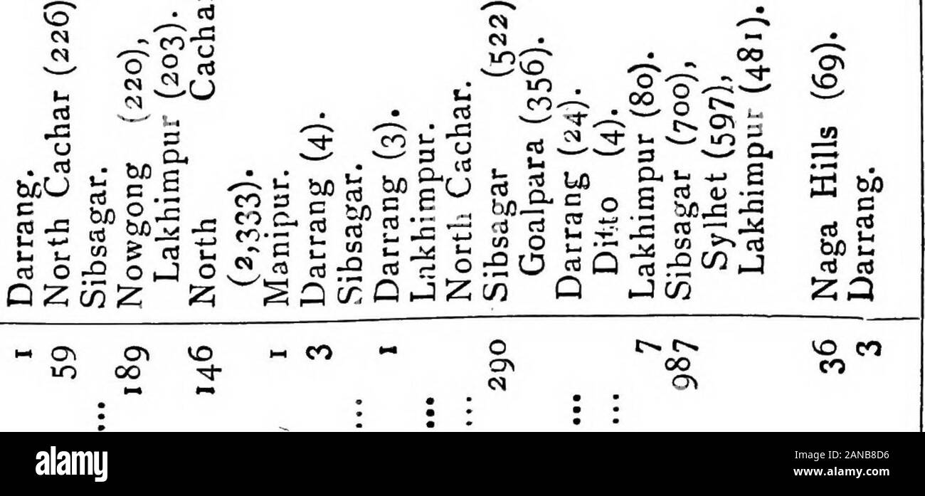 Recensement de l'Inde, 1901 . Je CO-I OS "j O PiO S S 5-• ?* C^ • -11-•^ vo s c oo 00 CD(N 1-1 ^ 1 z S 5 C4 ffl !&gt ; ? OS i" o&gt ; ?- vo 1- o 00 r* 0000 eovo VO 1-1 t&gt ;. la en VO >o l-H00 J-C ?^vo r-J ss - vo " c^ est • • 8 (II a s •^• cj eo oo-T jcT i-i ti ! O ! C^ ?* N DANS 2&gt ; 00 H ^ • • • • ? • &Gt ;&gt ; •• : : •• • ^ H zs V u (P W T/3 : : 1 ^ ••• . .£ . » • . -J'• • • • • 0 -1) : Dh eS 5 rt u O ^ §• un ?s V HU 1-1 PlainsSylhet l'OSQ Cachar Goalpara l4amrup Darrang in Nowgong Sibsagar Lakhitnpur 1 OQ CO 1 HillsNorth CacharNaga HillsKhasi Lushai et JaiGaro Hills S I S OI 157 HP o o u u h o (I. O t Banque D'Images