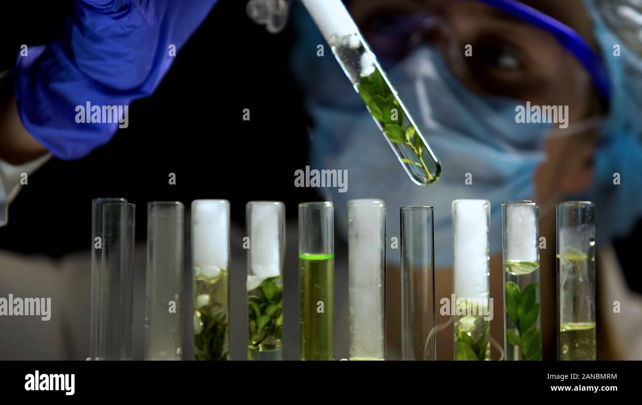 Chercheuse à l'analyse des réactions, cosmétiques biologiques, aromathérapie Banque D'Images
