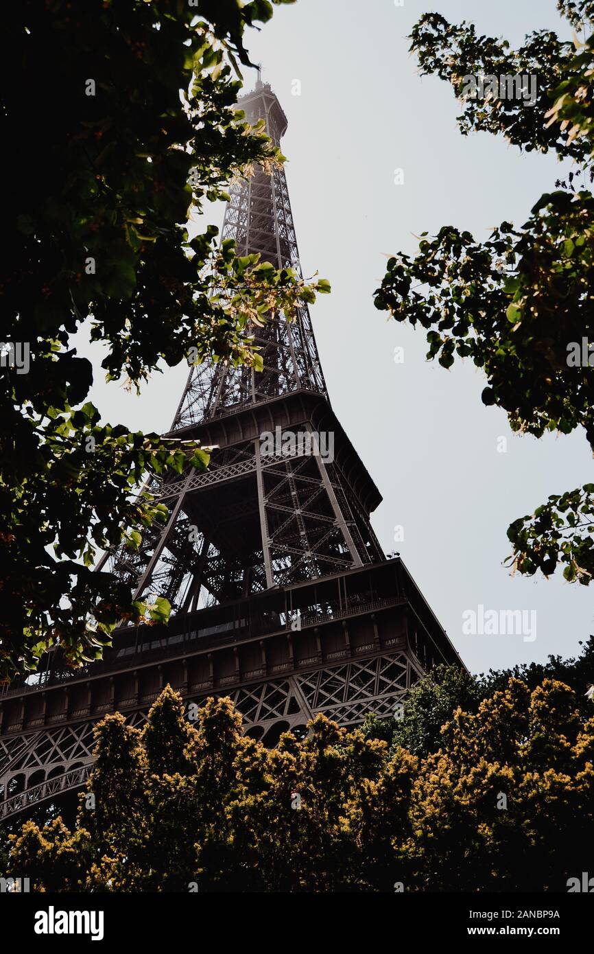 Tour Eiffel vue entre les arbres Banque D'Images