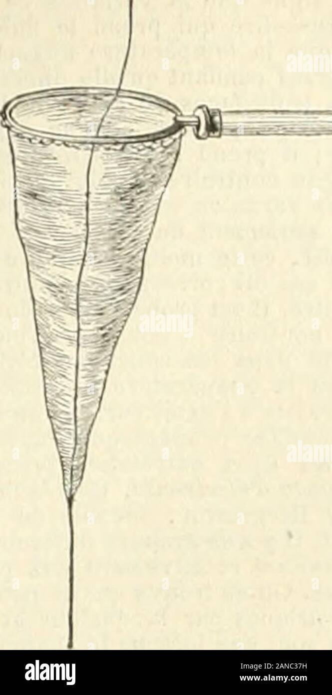 Arquivos . dovonue oxtériouro,o, il < ;/ccíriciírf bargodV !;qui portuit toutlo,rautre fluido, n<s préspulsive luquitter continuo, h, h abandonner le corps : coût co (luiarrivo dans lo vide et dans Tuír humiue MaÍH luaiKl., (sufllsaiiinient est luir soo, IV/t-c-f^íTnrt tricité lait contro lui pour aéchappor.Cest 4"t "iriirt appoló dunsitú ipiu Vua un ouniieux úiectriquo, tension. La tensumóloctriquo uvec Cummo varie en tiitÍt qu:.(S du fluido ELEC développé, sur admet que ce fluide formo unecouche ayant uno certíiino uniformek surfuco la, épaisseur des corps sphériques, variabloaux diíférents po Banque D'Images