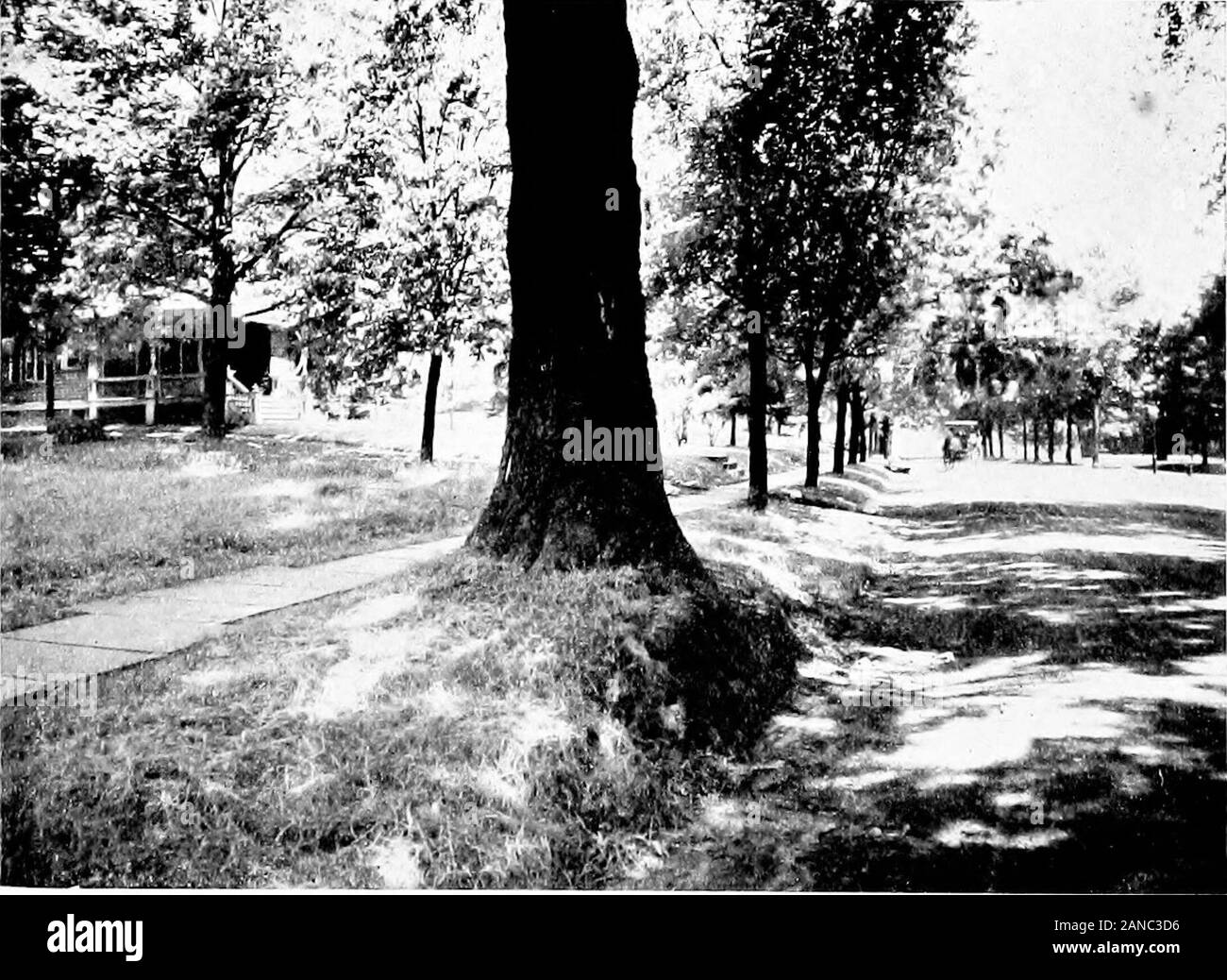 Glen Ridge : la préservation de sa beauté naturelle et son amélioration comme lieu de résidence . L'ombre de la rue. Tbees PiiANTiNG inadéquates de l'espace. Forcé de trottoirs et caniveaux d'alignement Oxjt envahi GLEN RIDGE 25 freiner et pas seulement d'une étroite bande de seize pieds dans le centre, comme à l'heure actuelle. Bien sûr, plus thoroughfaresshould ont ouvert les routes. Plus important que le droit de la sous-division proportionnelle de la rue sur le trottoir, la bande de plantation, anddrive est la méthode de son emplacement. La plupart des rues d'une ville arepart générale et devraient être locatedas afin de contribuer à l'convenien Banque D'Images