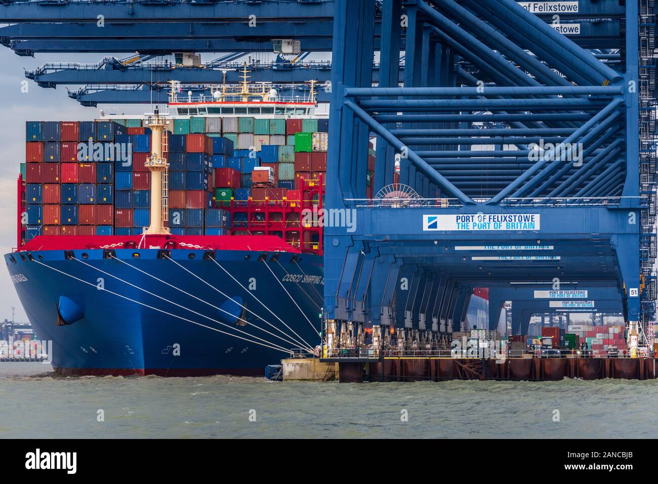 COSCO Container Ship port de Felixstowe Azalea UK - COSCO, la China Ocean Shipping Company, est le plus grand exploitant de navires porte-conteneurs. Banque D'Images