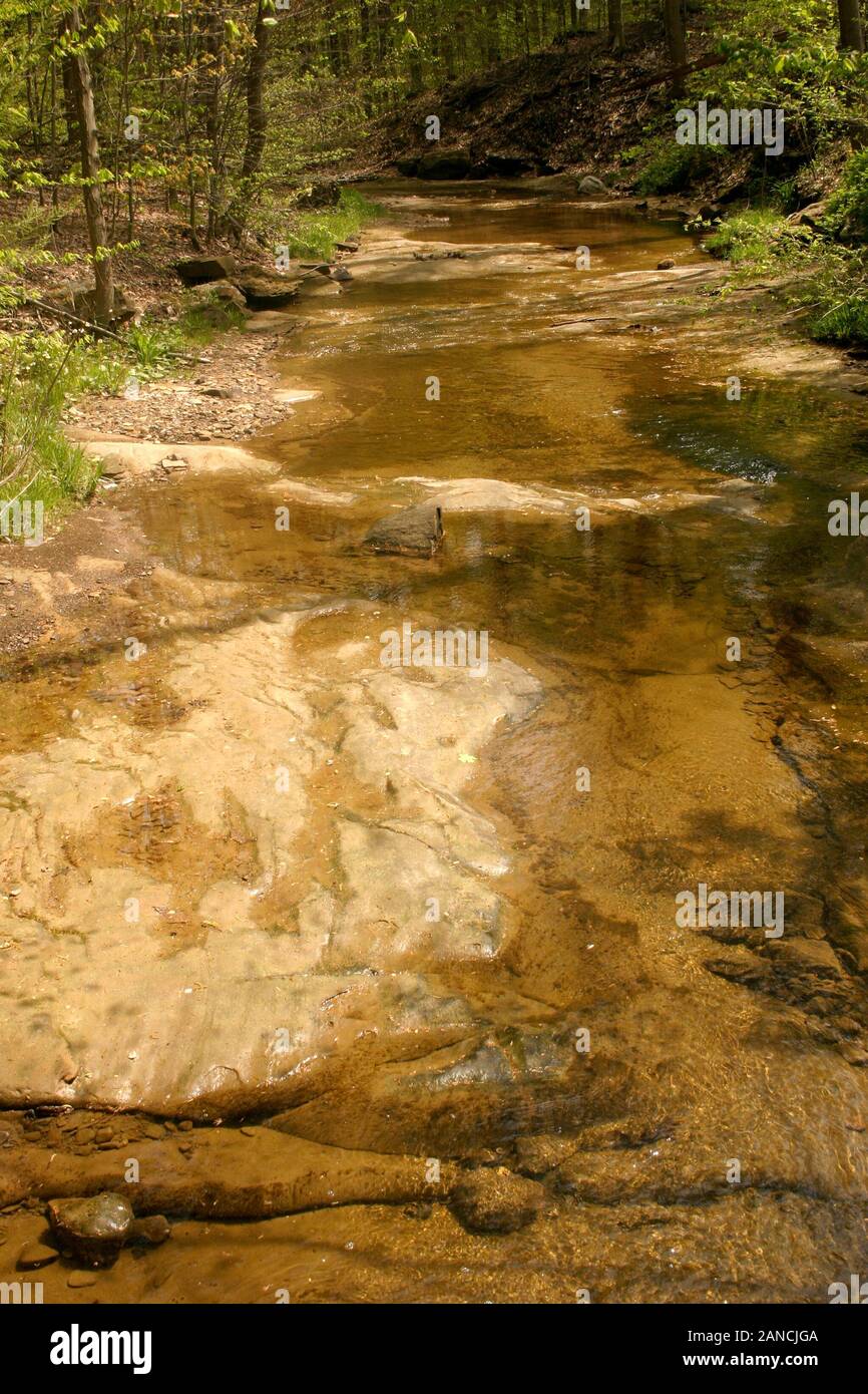 Spring Creek dans le parc national de Cuyahoga Valley, OH, États-Unis Banque D'Images