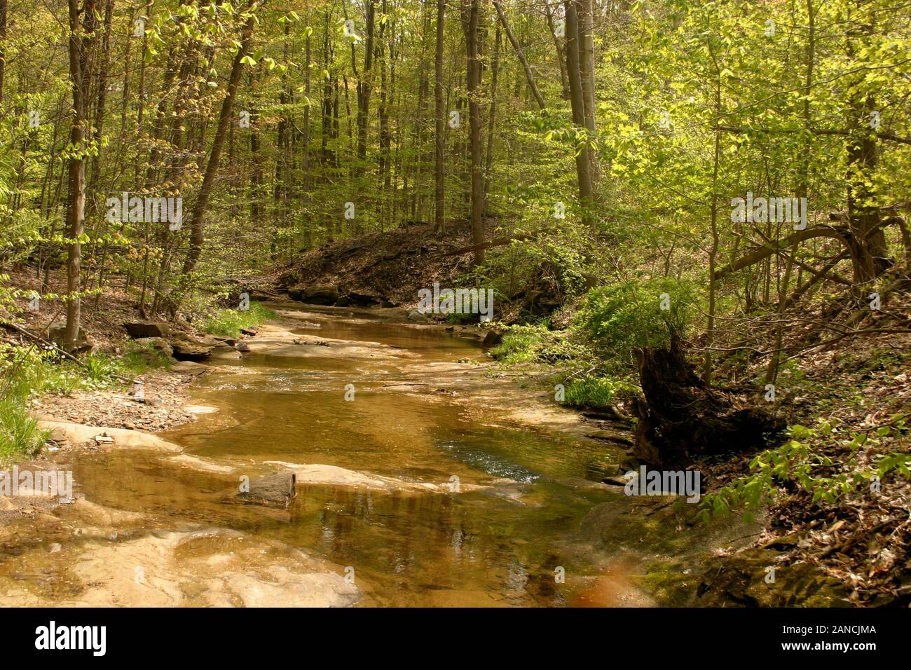 Spring Creek dans le parc national de Cuyahoga Valley, OH, États-Unis Banque D'Images