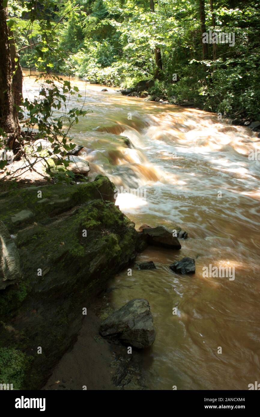 L'eau du ruisseau Muddy après de fortes pluies Banque D'Images