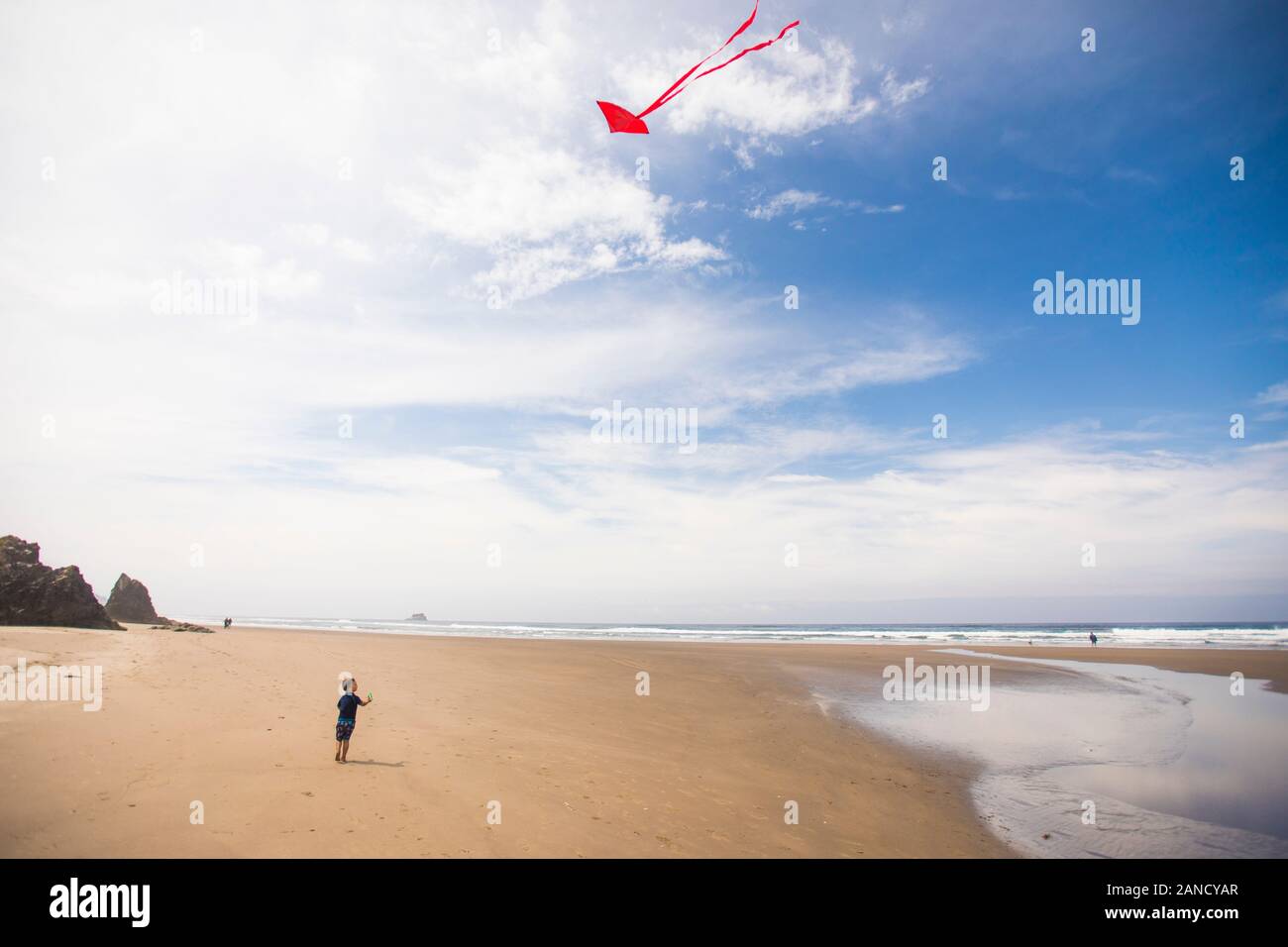 Un petit garçon vole un cerf-volant sur la plage Banque D'Images