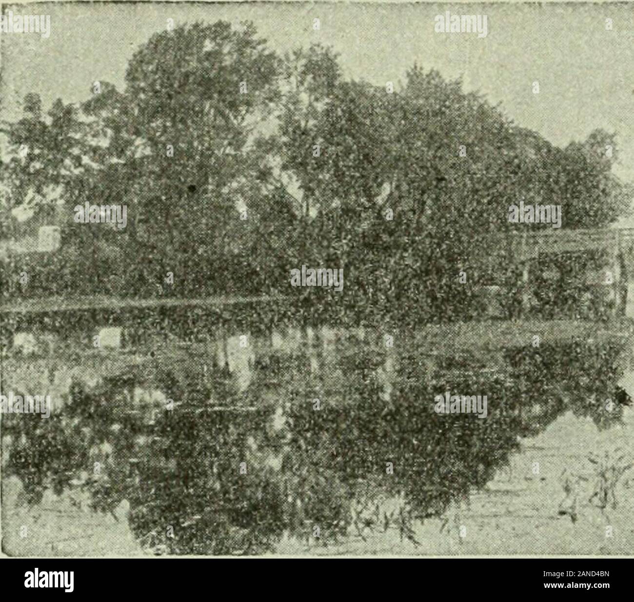 Voyages en Nouvelle Angleterre chariot .. . Chariot 84 voyages en Nouvelle Angleterre. Banque D'Images