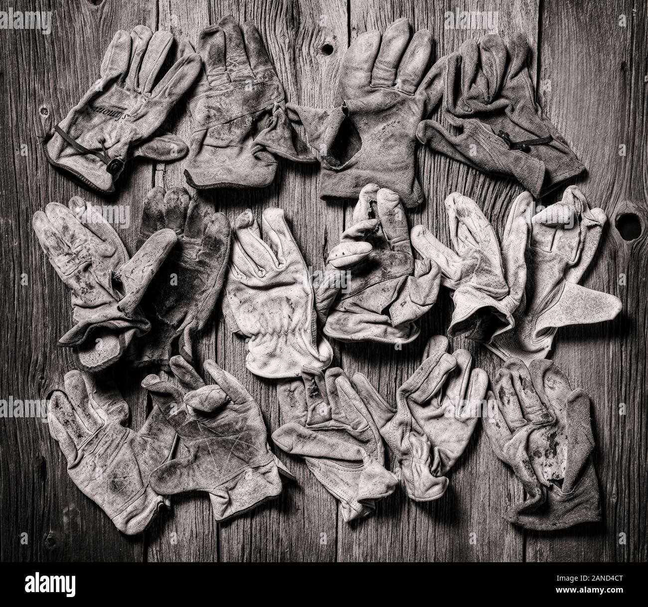 Black & White studio still life close-up de porter des gants de travail en cuir Banque D'Images