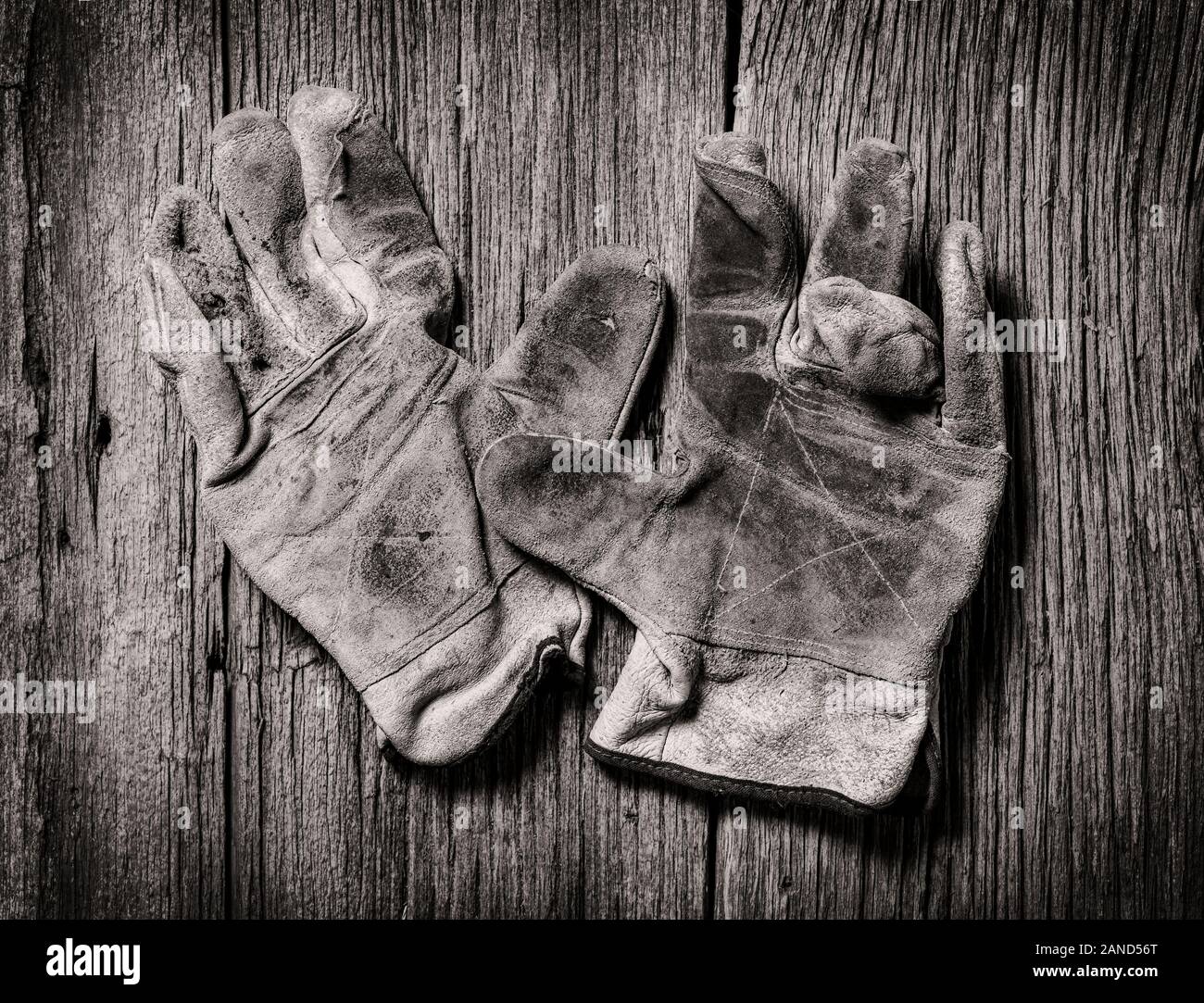 Black & White studio still life close-up de porter des gants de travail en cuir Banque D'Images