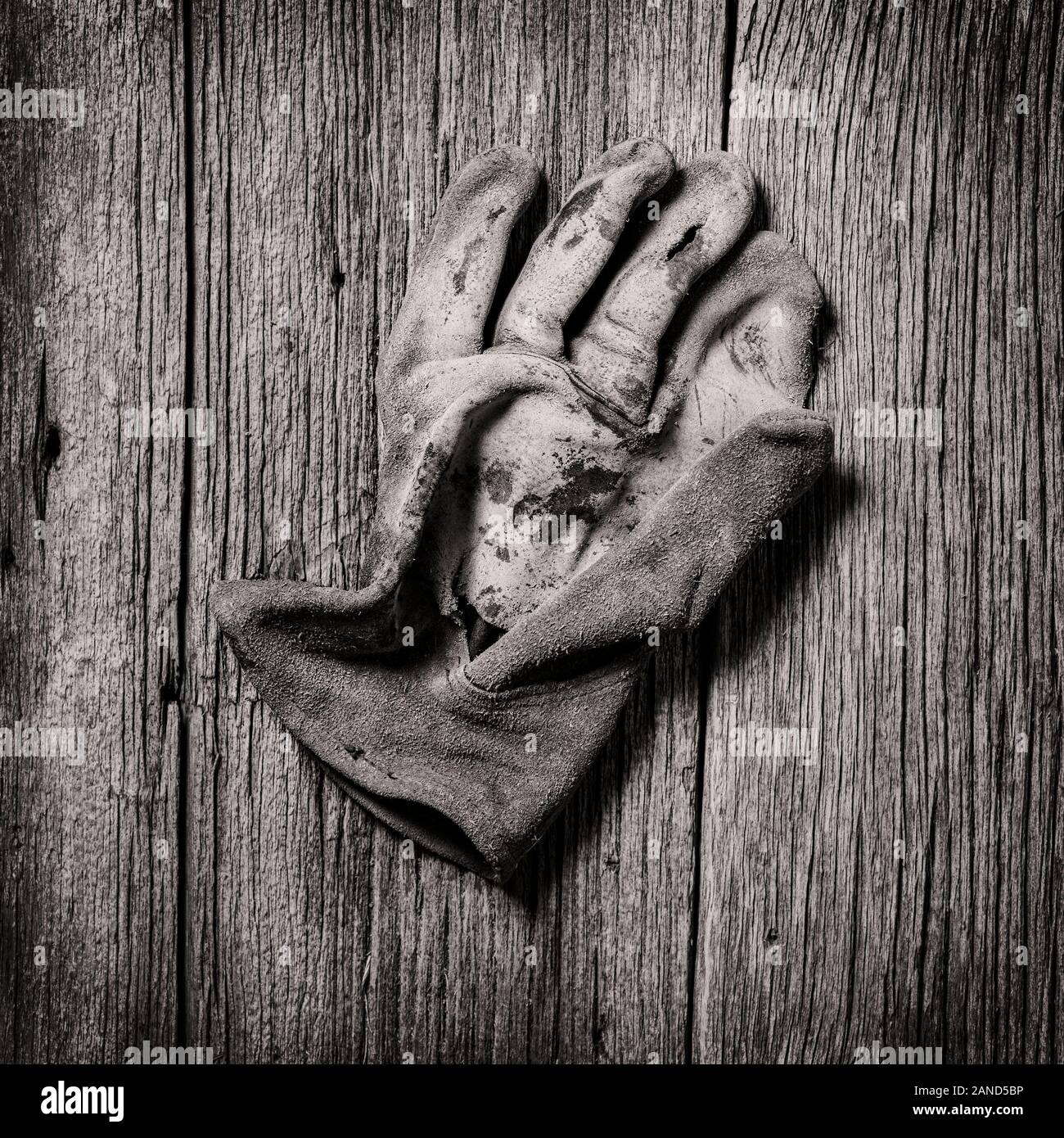 Black & White studio still life close-up de porter des gants de travail en cuir Banque D'Images