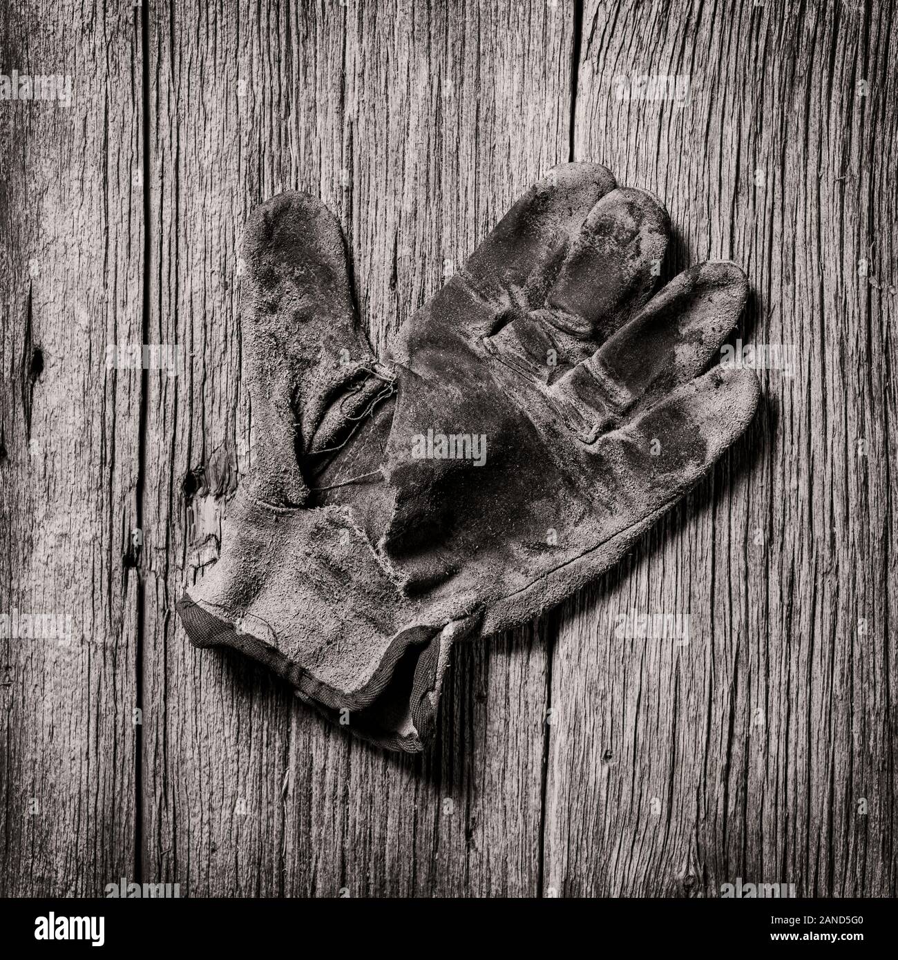 Black & White studio still life close-up de porter des gants de travail en cuir Banque D'Images