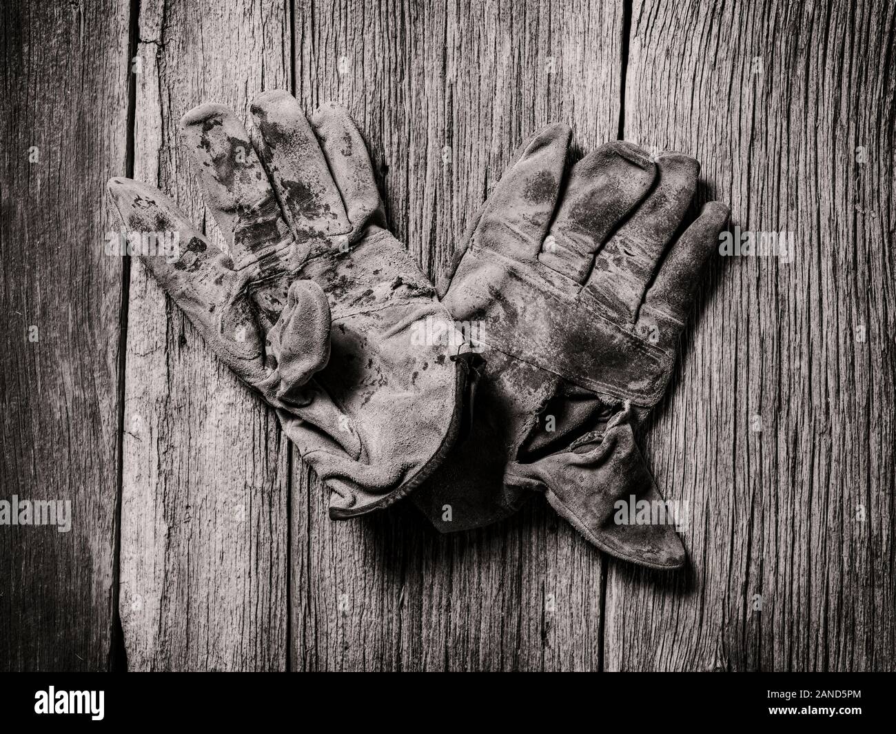 Black & White studio still life close-up de porter des gants de travail en cuir Banque D'Images