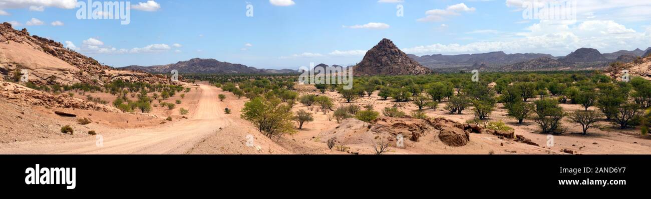 Panorama,vue panoramique,sec,désert scrub arib,paysage,Vallée de l'UGAB Damaraland Namibie,Afrique,RM Banque D'Images