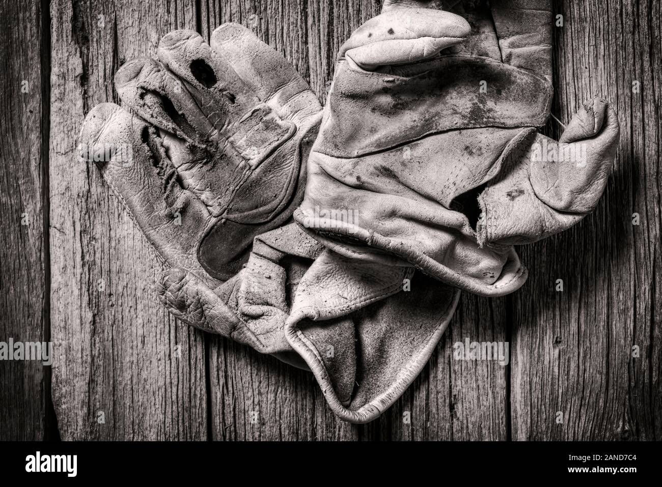 Black & White studio still life close-up de porter des gants de travail en cuir Banque D'Images