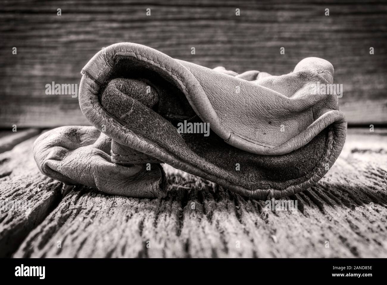 Black & White studio still life close-up de porter des gants de travail en cuir Banque D'Images