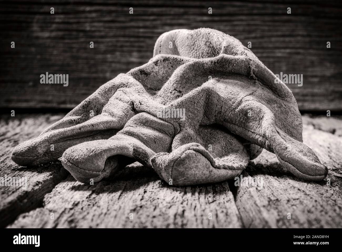 Black & White studio still life close-up de porter des gants de travail en cuir Banque D'Images