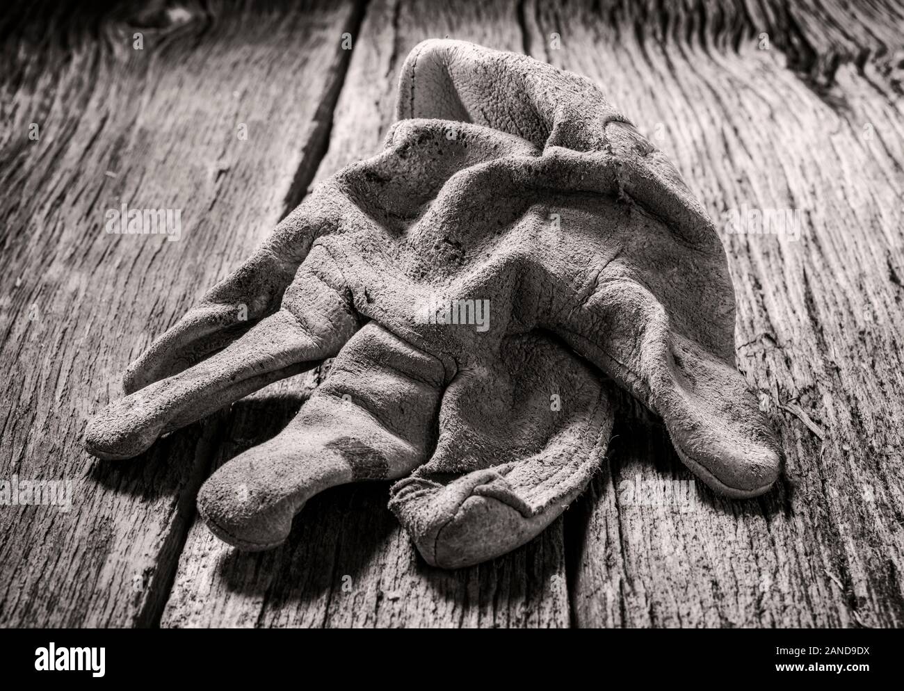 Black & White studio still life close-up de porter des gants de travail en cuir Banque D'Images