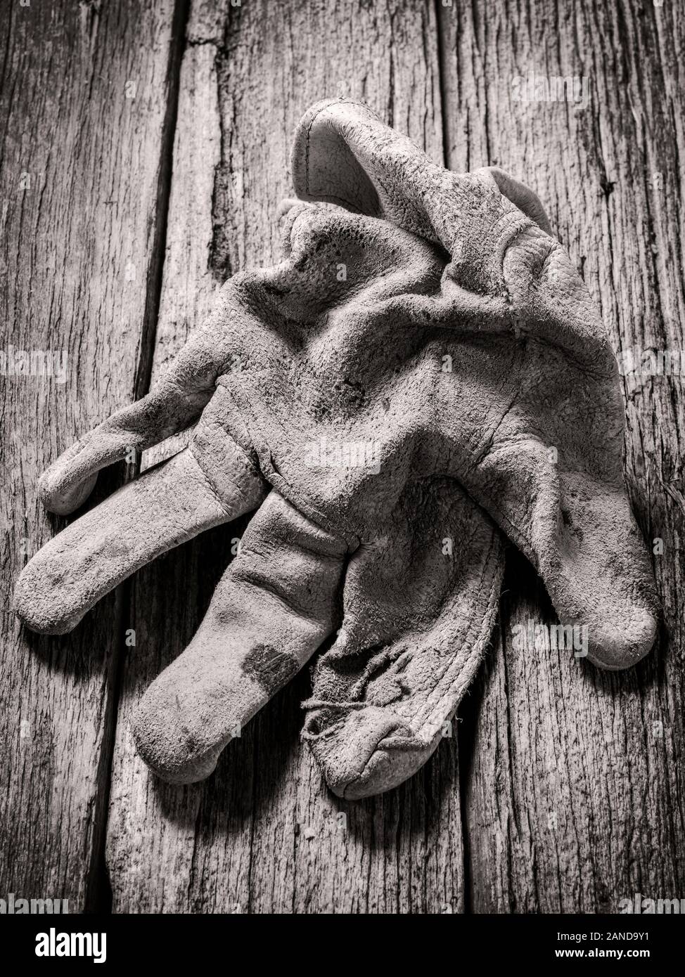 Black & White studio still life close-up de porter des gants de travail en cuir Banque D'Images