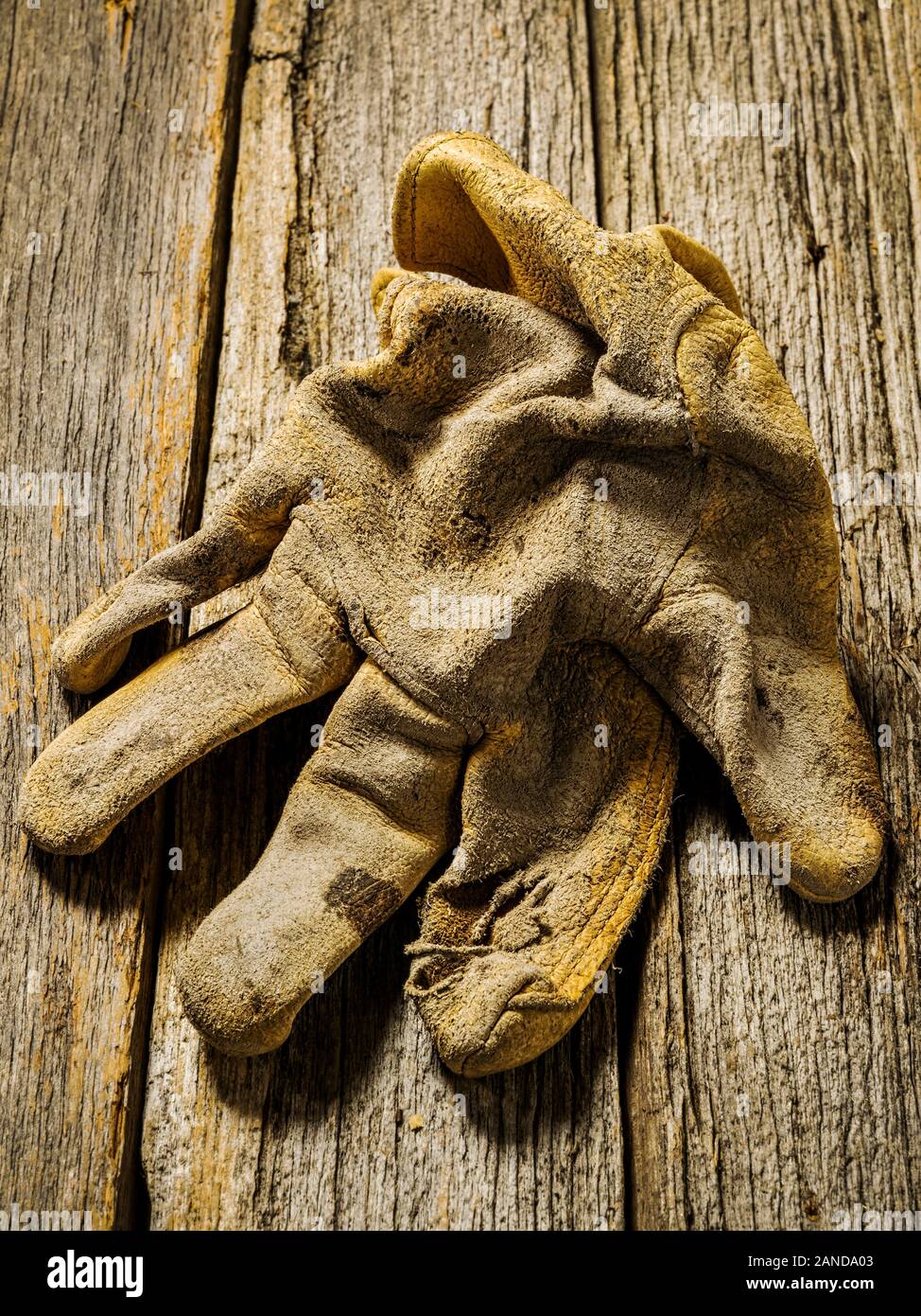 Studio still life close-up de porter des gants de travail en cuir Banque D'Images