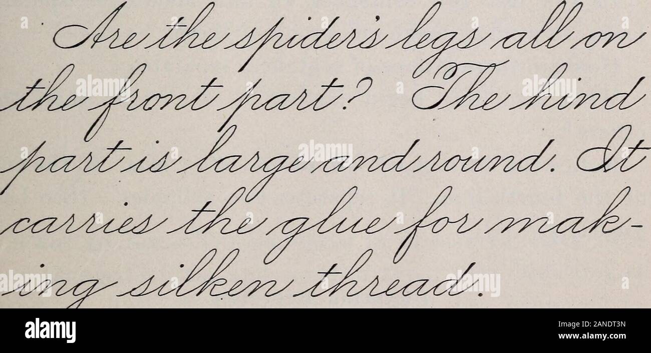 La langue d'introduction ; un simple travail, varié et agréable, mais