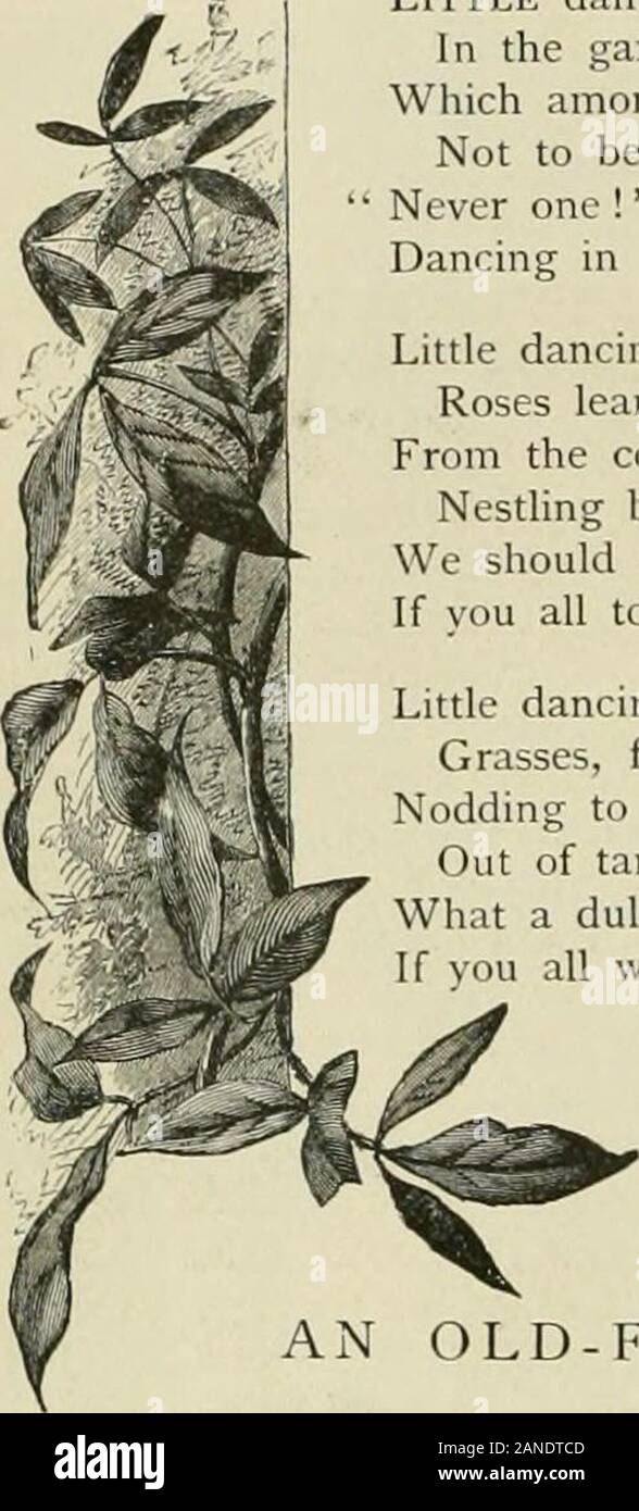 StNicholas . KrTT^iiiB. Il ne fallut pas longtemps avant que l&gt ;- ont tous été oncemore dans leurs repaires préférés, gambader et jouer-ing à leurs vieux trucs, sans aucune crainte de la ter-rible gobelins, Spidcrces andbravery la patience de qui les avait sauvés pour l'éternité. Un vieux T H A N K S CI I V I N G. [Novembre, PEU DE FEUILLES DE DANSE.. Par Lucy Larcom. Peu de feuilles dansant dans le jardin-bower,qui parmi vous s'afflige de ne pas être une fleur  ?jamais un ! L'Hght laisse dire,danser dans le soleil toute la journée. Peu Dancing Leaves, Roses se pencher pour embrasser ;de la cottage eaves oisillons ne permettrait pas de vous Banque D'Images