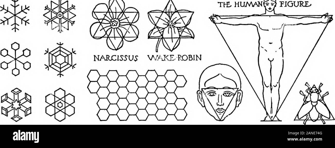 La belle nécessité ; sept essais sur la théosophie et l'architecture . re la géométrie est ratherthan latente, évitant des brevets, bien que pas tout à fait fi de l'analyse, et donc augmentingbeauty, qui, comme une femme, est séduisant dans la mesure où elle échappe à l'(illustrations 51, 52, 53). Par l'artiste vrai, dans le miroir de cristal dont l'esprit le universalharmony est concentré et réfléchi, ce secret de la cause et la source-ofrhythm qu'il demeure dans une corrélation de pièces en utilisant une carte sim ultime-plicity-est appréhendé instinctivement. Une connaissance d'elle faisait partie de l'équipement de l'peintres qui fait g Banque D'Images