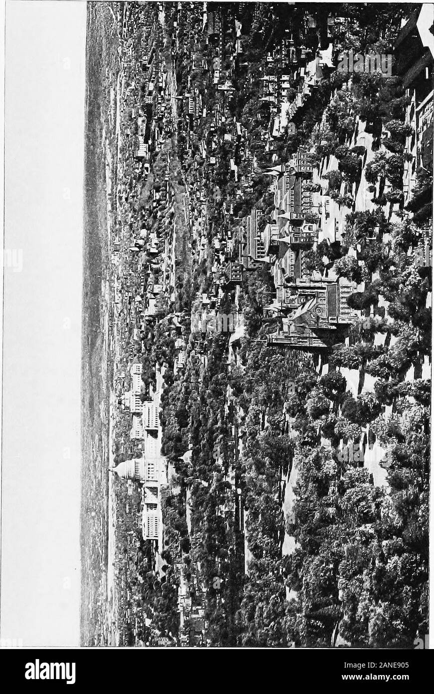 Washington, la ville et le siège du gouvernement . ix Construire l'explosif. Il y avait aussi deux autres blocs Conférencegénéraleest invitée, deux ou trois maisons d'habitation, dans différentes direc-tions, et maintenant et puis un bois isolé habita-tion ; l'espace intermédiaire, et en effet le méplatde la ville en général, être couvert par oakbushes d'arbustes sur les terrains plus élevés, et sur les arbres soit marshysoil ou une sorte de bosquet. Norwas l'aspect désolé de l'endroit un peu aug-œuvre par un certain nombre d'édifices inachevés à feuilles vert-Point, et un court-circuit sur une éminence, il distancefrom a commencé par une personne dont le Banque D'Images