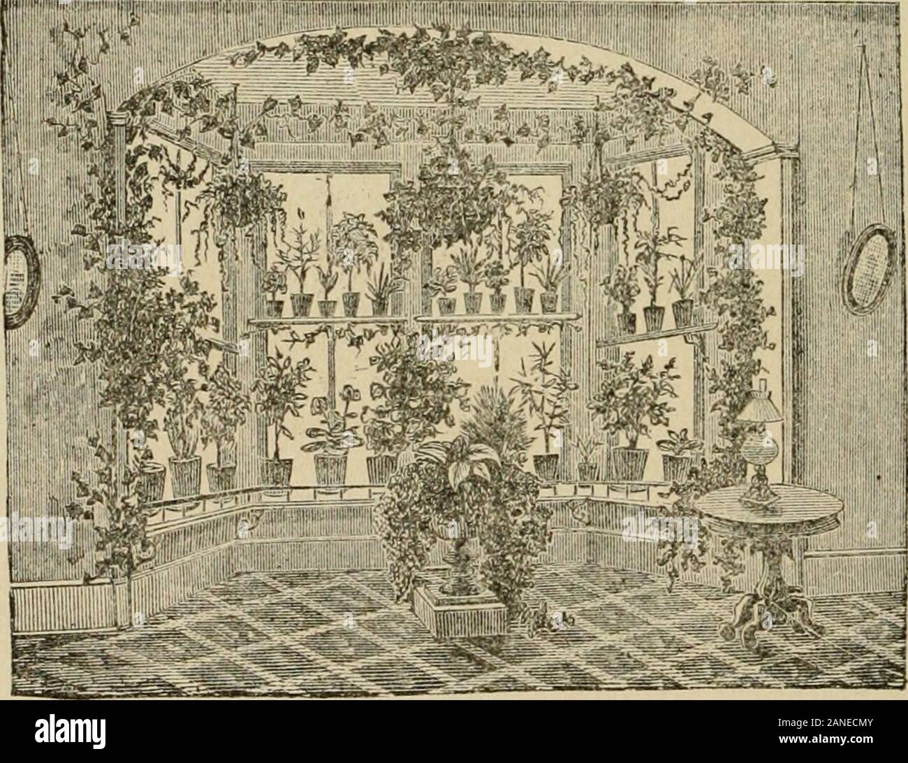 Livre de la main de paysage pratique, conçu pour la ville et la banlieue de résidences, et de l'école pays-maisons . •-".•••., N° de ceci nous revenir à la pratique commune de la fenêtre déco avec des plantes en pot et suspensions rempli w ithwhose gracieux oft vague si épais et frais dans thegive une idée qu'ils sont comme les Mi'ilv sur 86 Part-livre de l'air pratique, tandis que l'on appelle les amateurs d'entre eux, sous l'impression que qu'est-il dit arrivera. Grâce à l'aimable courtoisie de James M. Vick, Esq., copie nous fromhis Guide Floral quelques illustrations de la façon de les organiser andh plantes Banque D'Images