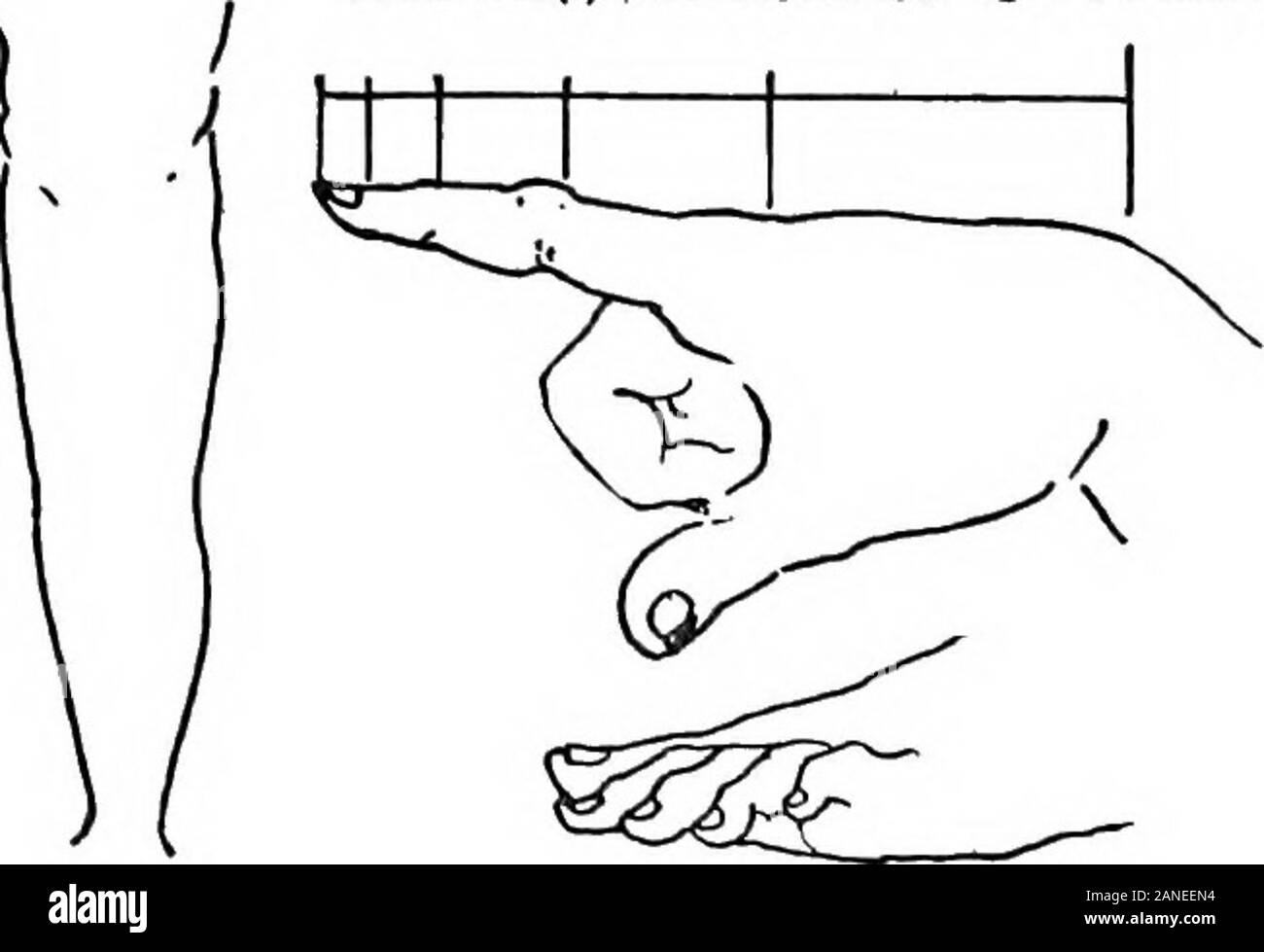 La belle nécessité ; sept essais sur la théosophie et l'architecture . ature partout fonctionne, et s'éduquer l'œil dans la plus connue de l'école, la formation il todistinguish proportion infimes différences, de la même manière que l'audience de goodmusic cultive l'oreille. Ces principes d'une beauté naturelle qui fait l'objet de l'twopreceding toutes les rédactions sont, par exemple, dans l'idéal l'idéal figure humaine.s'agit essentiellement d'une unité, il y a une division marquée bien droit dans andleft. Mains à mains et pieds à pieds, en un seul corps, les palefreniers et brides.Il y a deux bras, deux jambes, deux oreilles, Banque D'Images