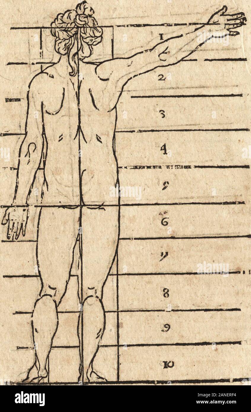 Varia Le Conmensuracion Para Escultura Y Arquitectura Fr I Ll Lt B P Sportivo Ftr R U Ca Ninos Tlt Til Cat 4d1t Vil T Atj De Ninos Figv Que Contiene Dos Hundo Tiene Tres Anos