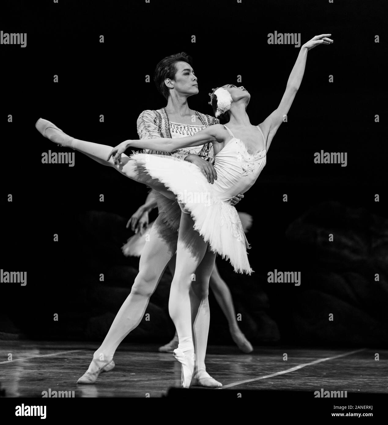 New York, NY - 16 janvier 2020 : Qi Bingxue est Odette, Wu Husheng comme Siegfried et Corps de Ballet effectuer Grand Lac des cygnes par le Ballet de Shanghai au cours de l'aperçu de la presse au Lincoln Center David Koch Theatre Banque D'Images