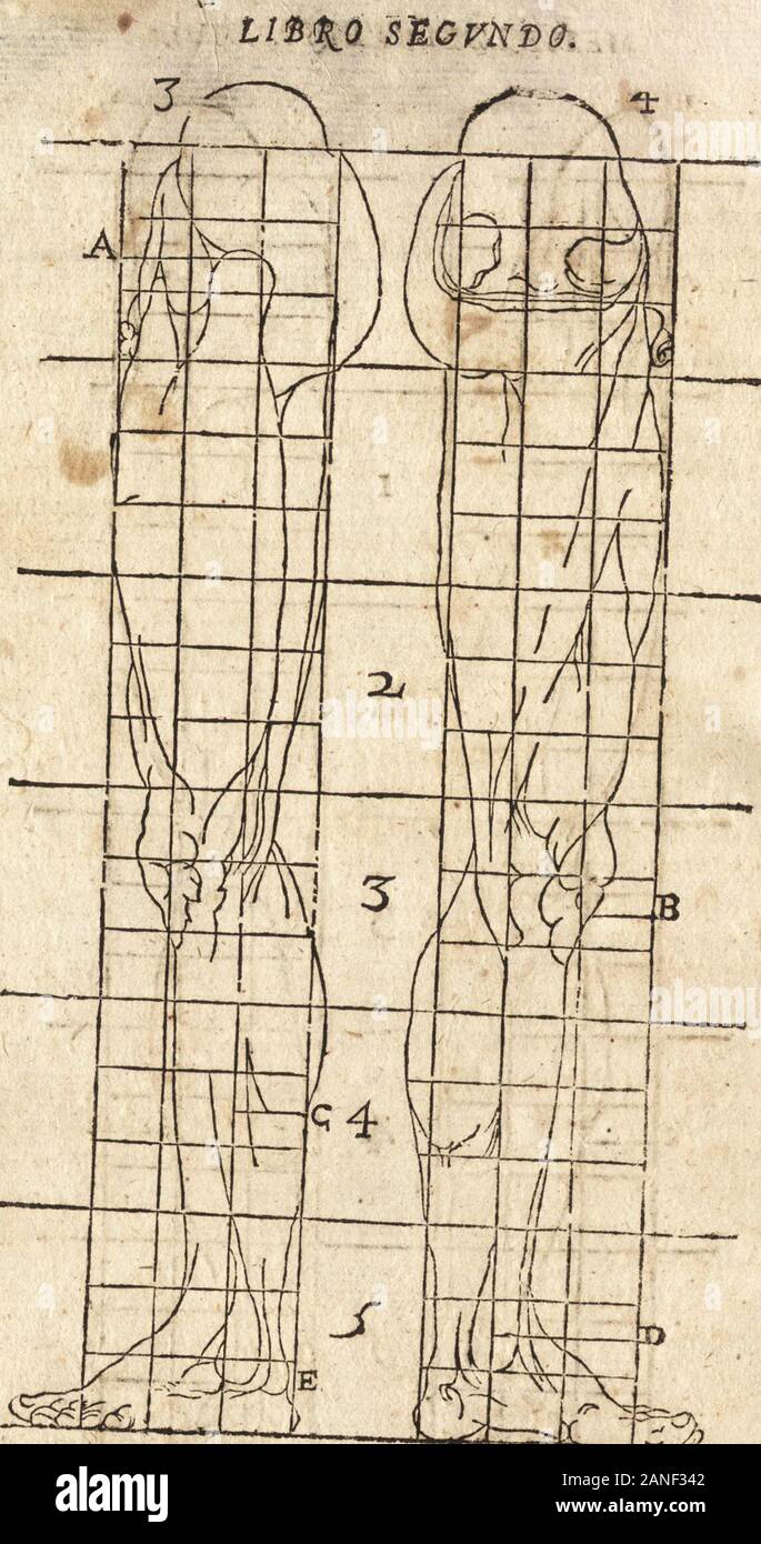 Varia Le Conmensuracion Para Escultura Y Arquitectura J Tt A W 5 L L Ir Ti V Mj J J T Rce Moi C Gt Une Delcfe Fo Tjt L Ti Cap1tpl0 Ovlntoit Mevlvd La Jta M Gene Al De Todo