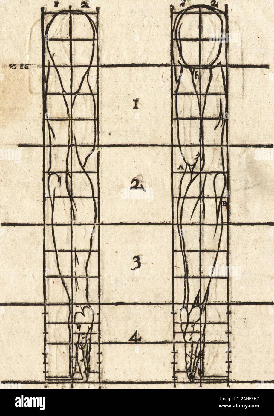 Varia Le Conmensuracion Para Escultura Y Arquitectura H 14 Fswe Ca W I Medida Del Cfe 0 Ats H Ta Cjvrrn O Uz Rx0 Hw Ii La Planta Cuy Rendez Vous Citteo