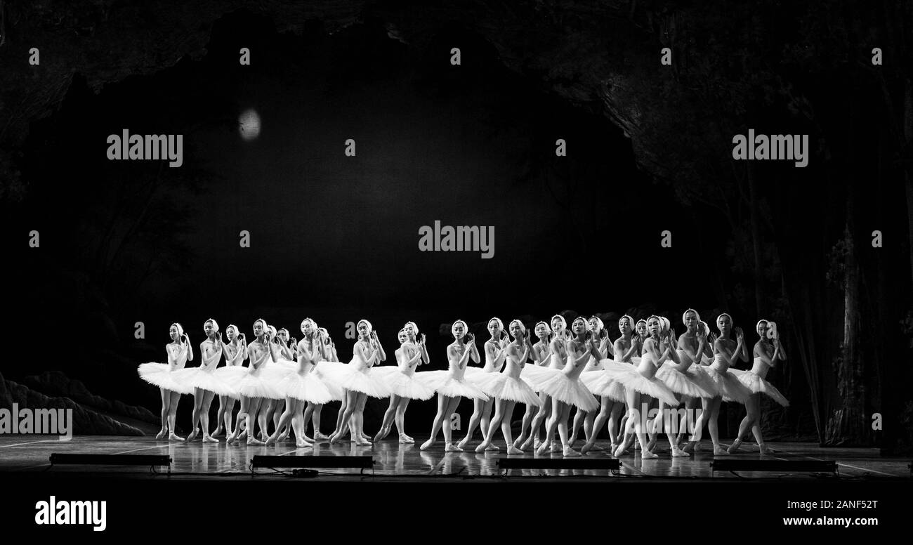 New York, États-Unis. 16 janvier, 2020. Danseurs de Corps de Ballet effectuer Grand Lac des cygnes par le Ballet de Shanghai au cours de l'aperçu de la presse au Lincoln Center David Koch Theatre (photo de Lev Radin/Pacific Press) Credit : Pacific Press Agency/Alamy Live News Banque D'Images